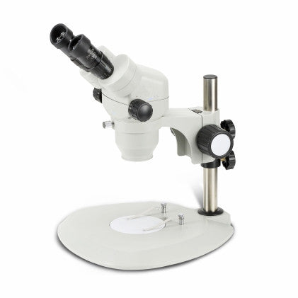 stereomicroscope