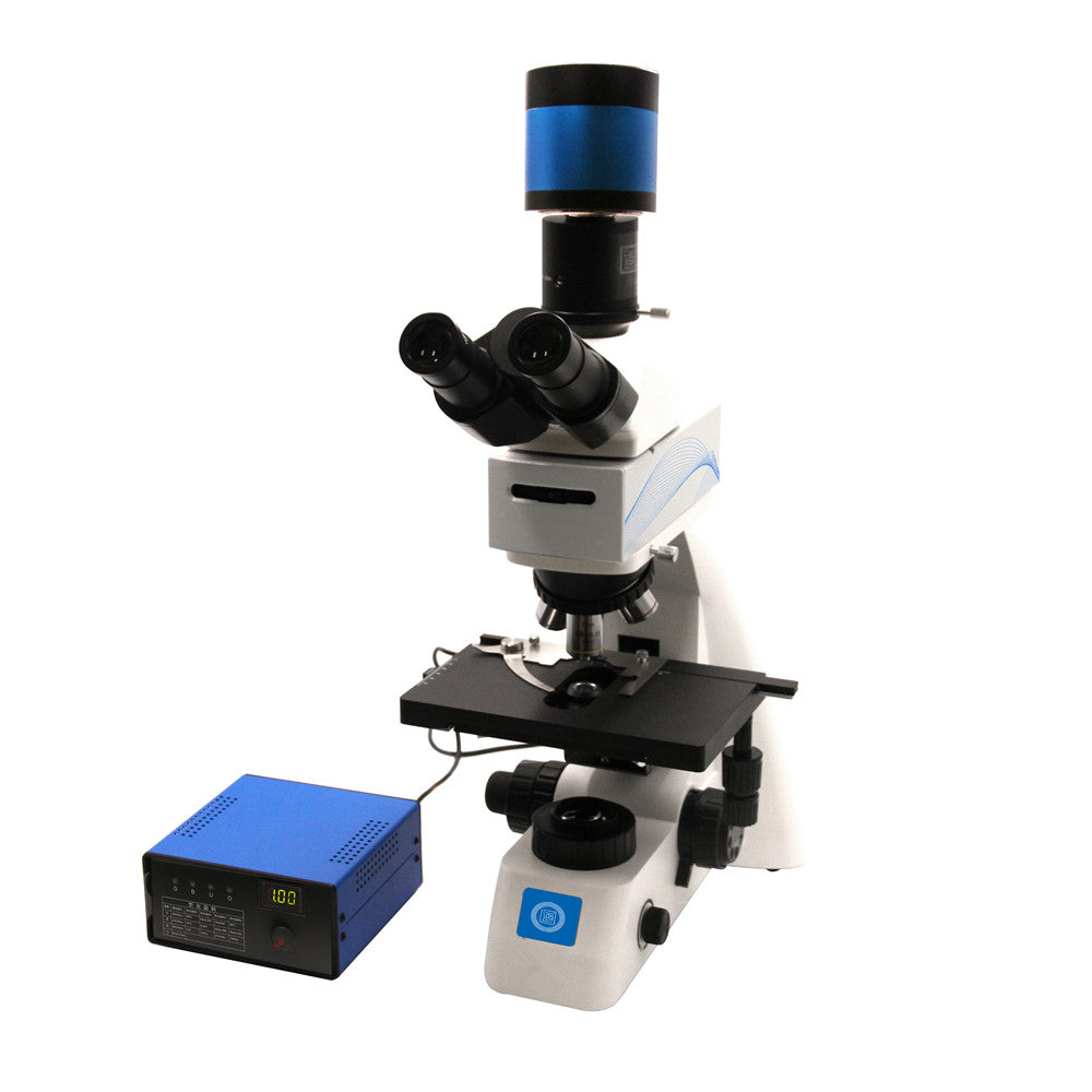 Upright Fluorescent Biological Microscope FUZB70F